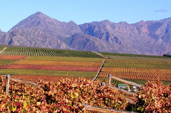 Cape Winelands Guide - Things To Do